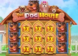 Party Casino casino GB The Dog House