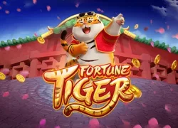 Party Casino casino GB Fortuna Tiger